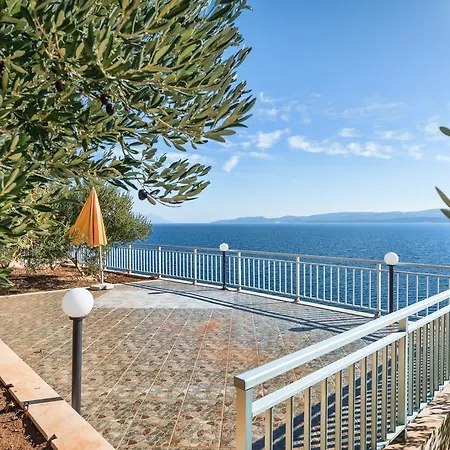 Rosa * Gornji Dolac